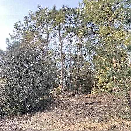 Valparaiso - L'esprit Chaumois Face Au Grand Large, 4 Pers, Garage Les Sables-dʼOlonne