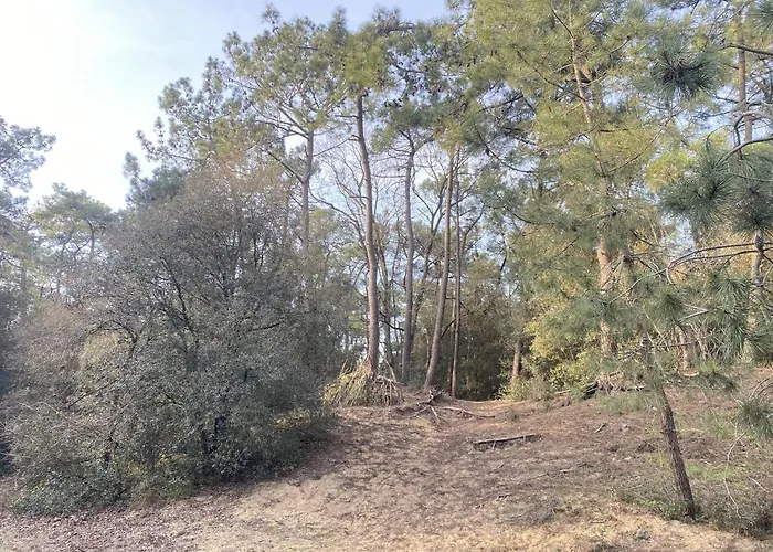 Valparaiso - L'esprit Chaumois Face Au Grand Large, 4 Pers, Garage 莱萨布勒-多洛讷